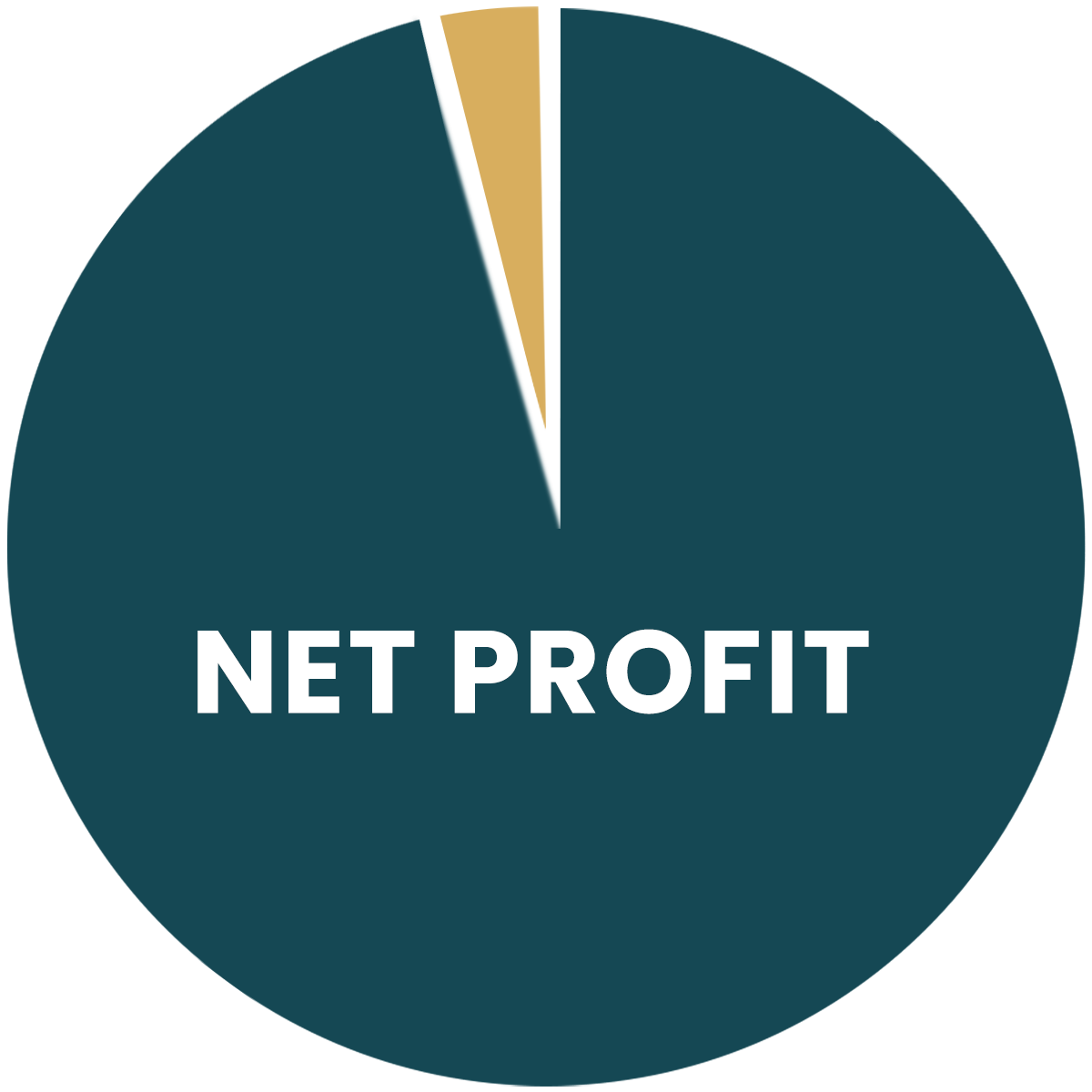 JS-Charts-net-profit